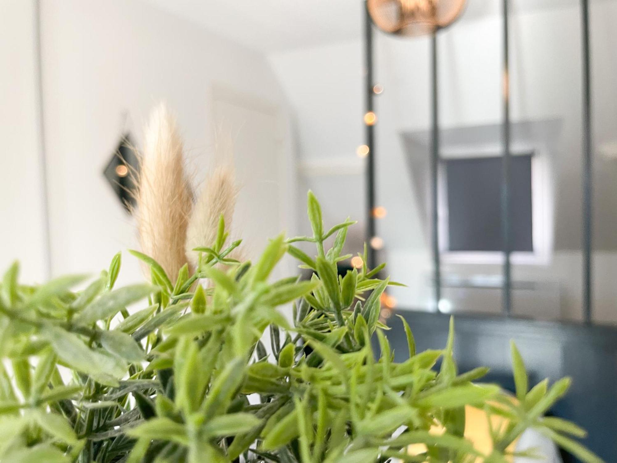 Apartamento Le 12 Bis - Cosy Cherbourg-en-Cotentin Exterior foto